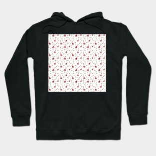 Winter Robins Hoodie